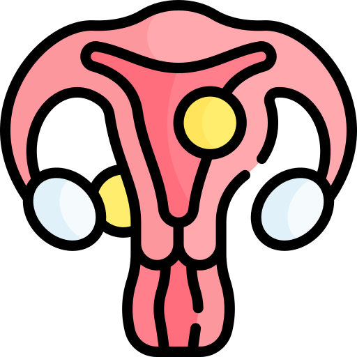 Myomectomy (Fibroid Removal)
